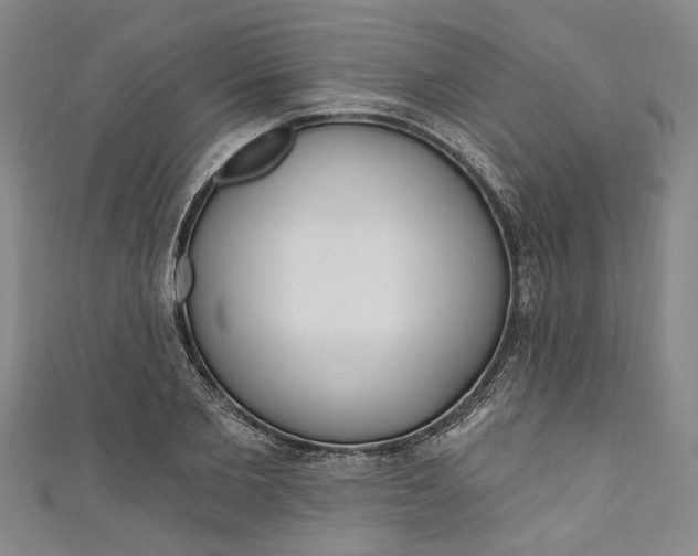 X0000111170885200907221026