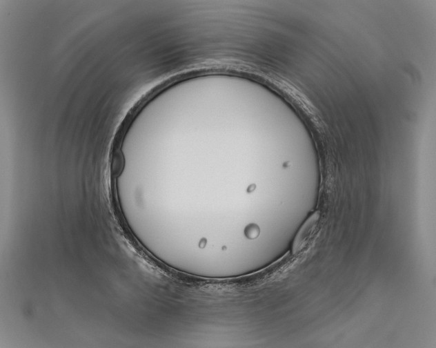 X0000111170888200907221026