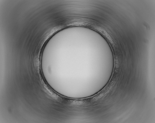 X0000111170890200907221026