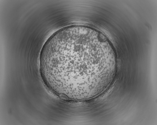 X0000111170891200907221026