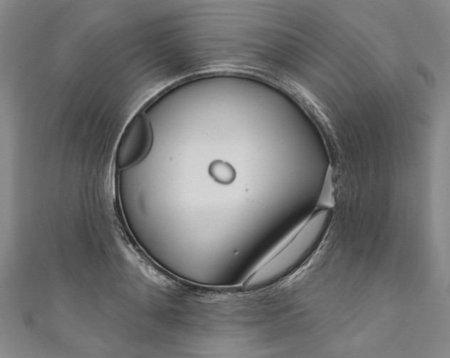 X0000111170892200907221026