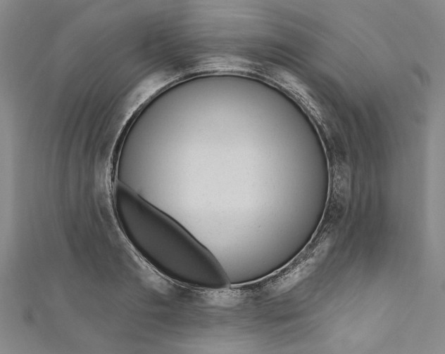 X0000111170893200907221026