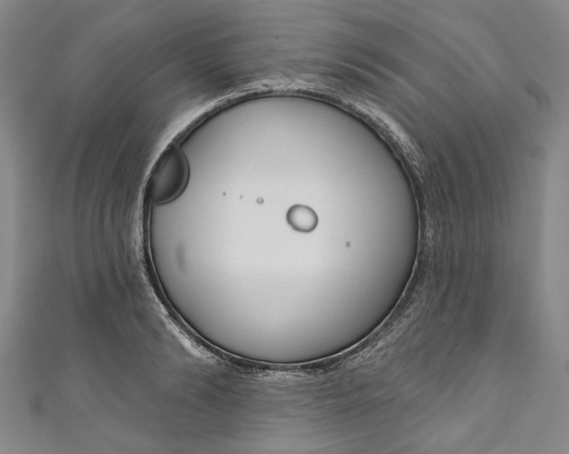 X0000111170894200907221026