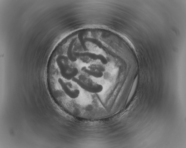 X0000111170895200907221026