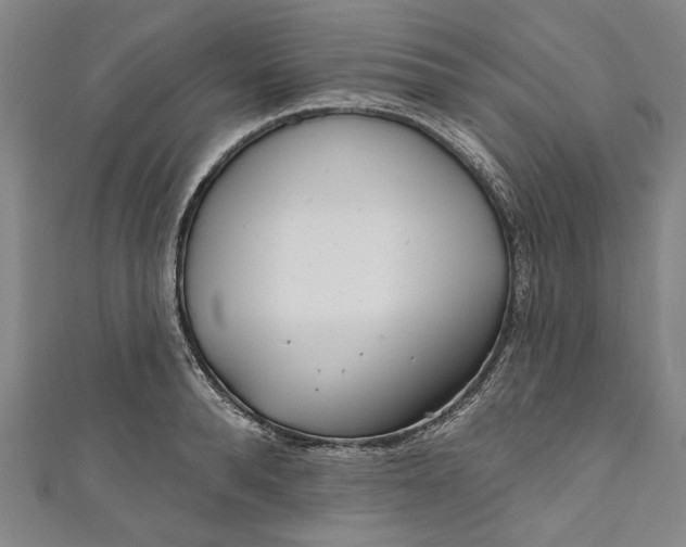 X0000111170896200907221025