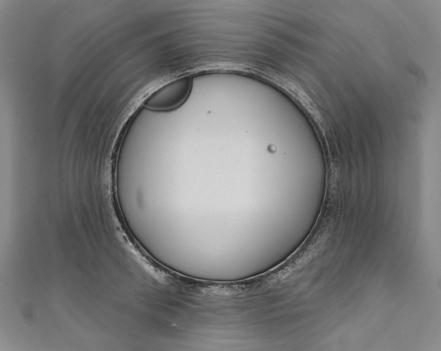 X0000111170898200907221025