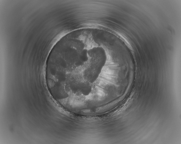 X0000111170899200907221025