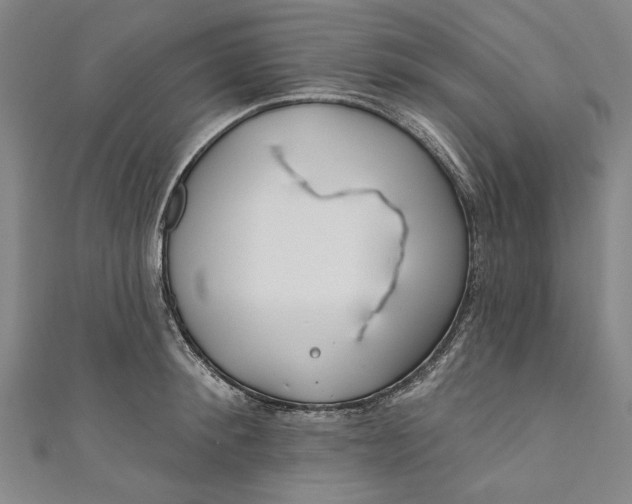 X0000111170900200907221025