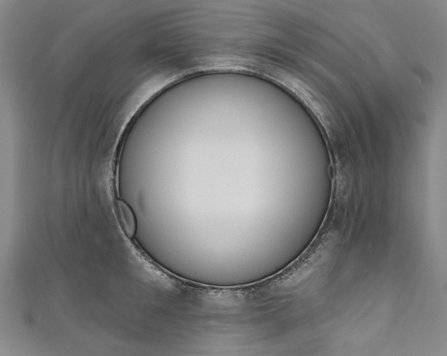 X0000111170901200907221025