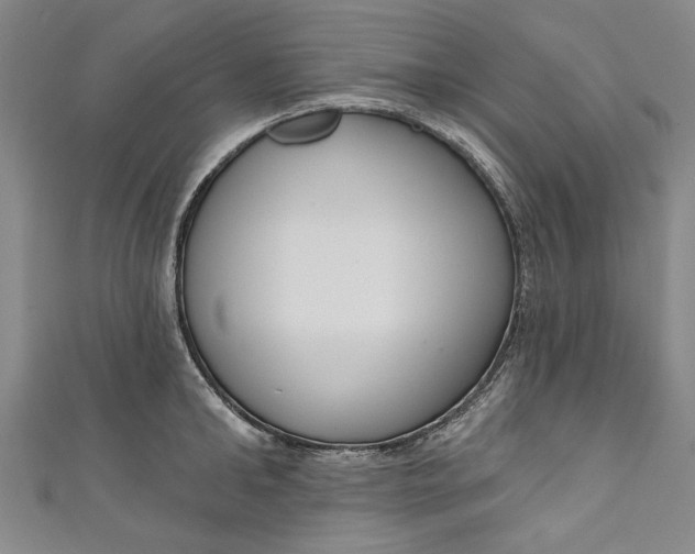 X0000111170902200907221025