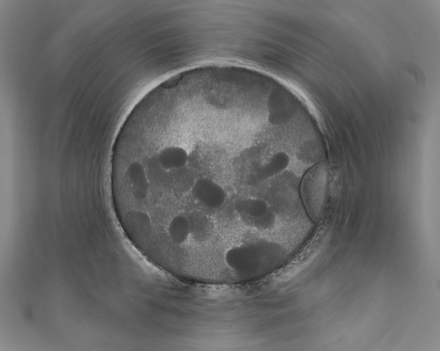 X0000111170903200907221025