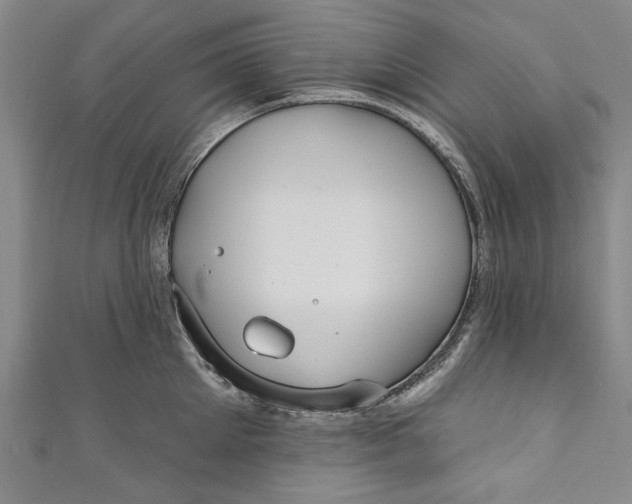 X0000111170905200907221025