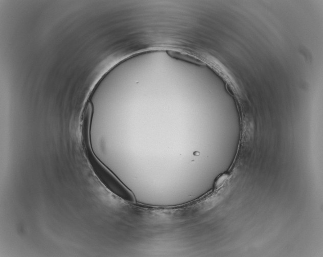 X0000111170908200907221025