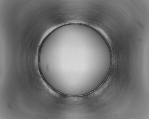 X0000111170910200907221025