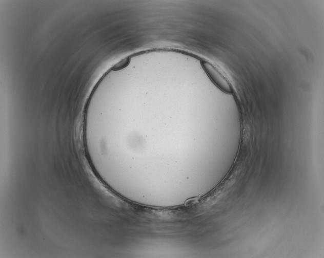 X0000111170911200907221025