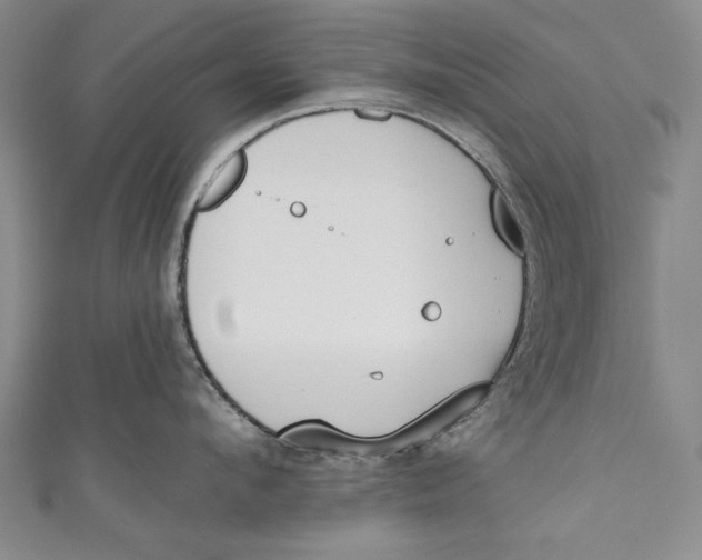 X0000111170912200907221025