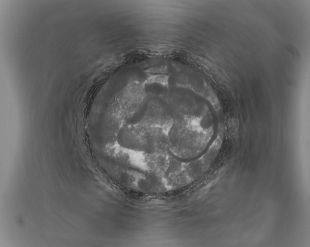 X0000111170913200907221025