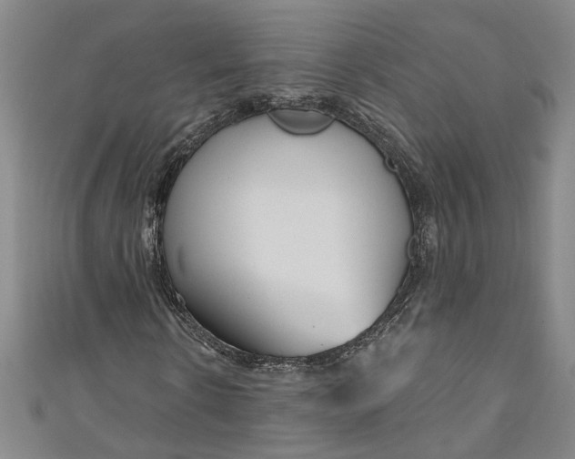 X0000111170914200907221025