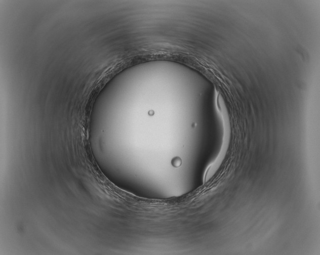 X0000111170916200907221025