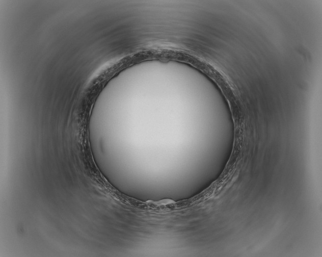 X0000111170919200907221025