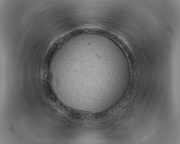 X0000111170920200907221025