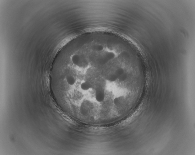 X0000111170921200907221025