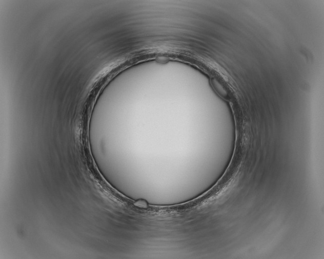 X0000111170922200907221025