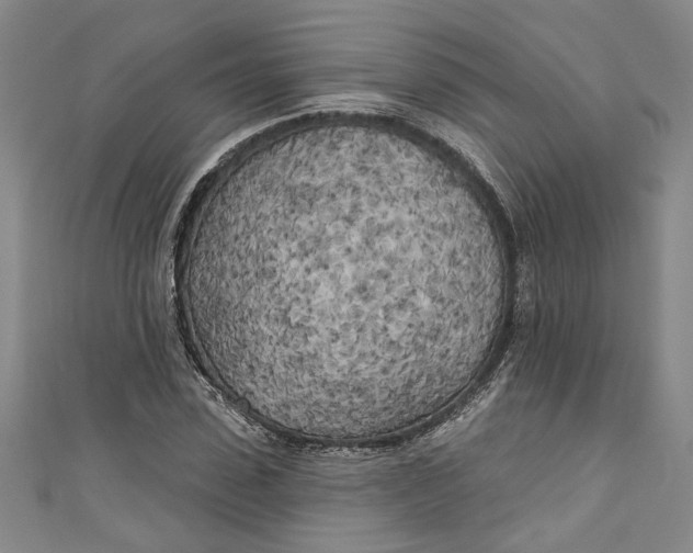 X0000111170923200907221025