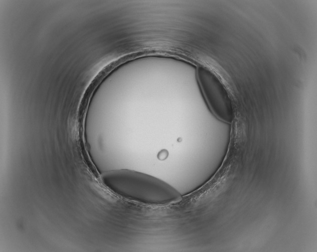 X0000111170924200907221025