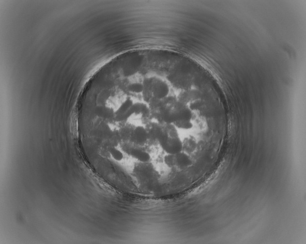 X0000111170925200907221025