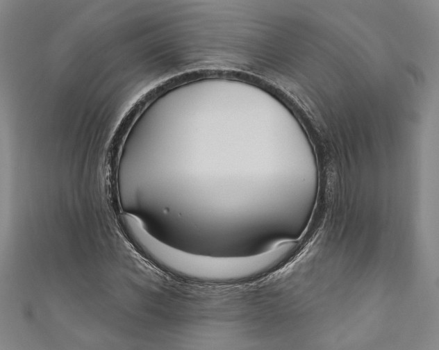 X0000111170926200907221025