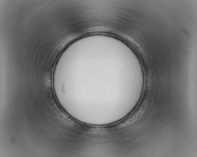 X0000111170929200907221025