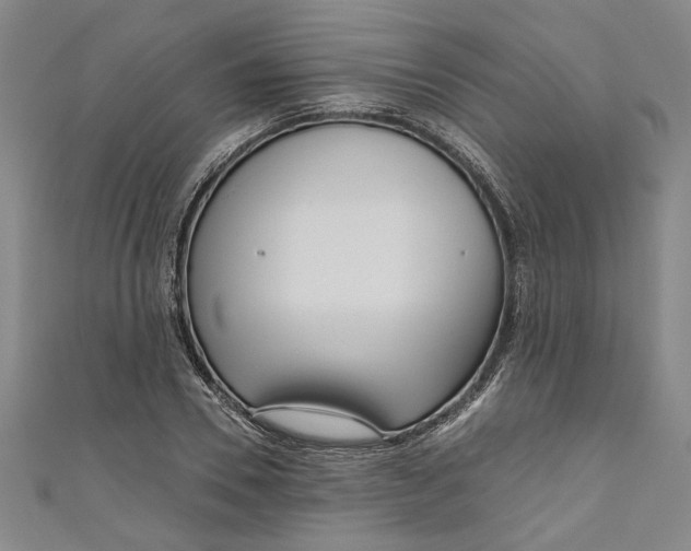 X0000111170930200907221025