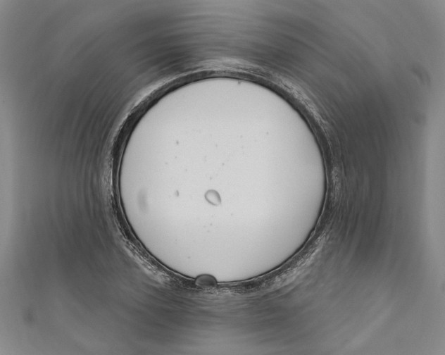 X0000111170931200907221025