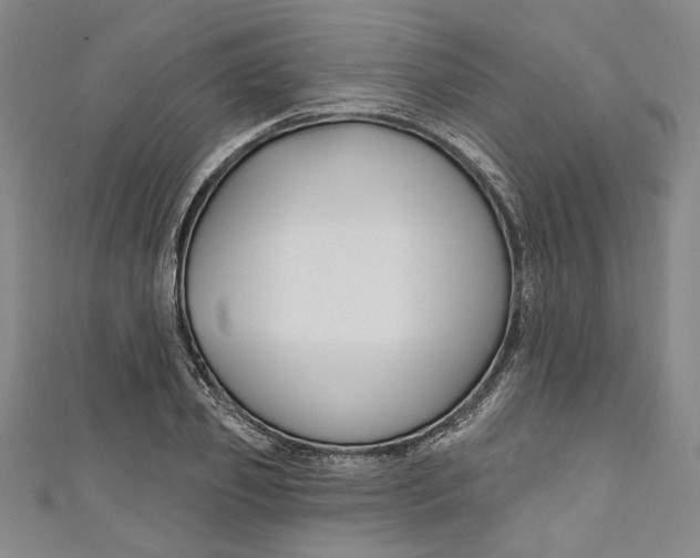 X0000111170933200907221025