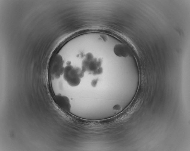 X0000111170935200907221025