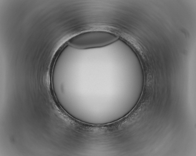 X0000111170936200907221025