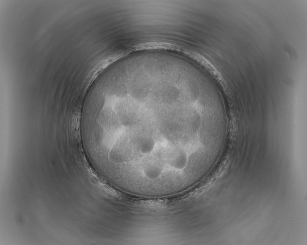 X0000111170937200907221025