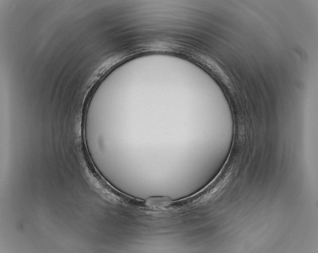 X0000111170938200907221025