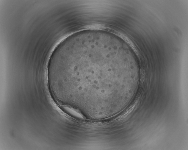 X0000111170939200907221025