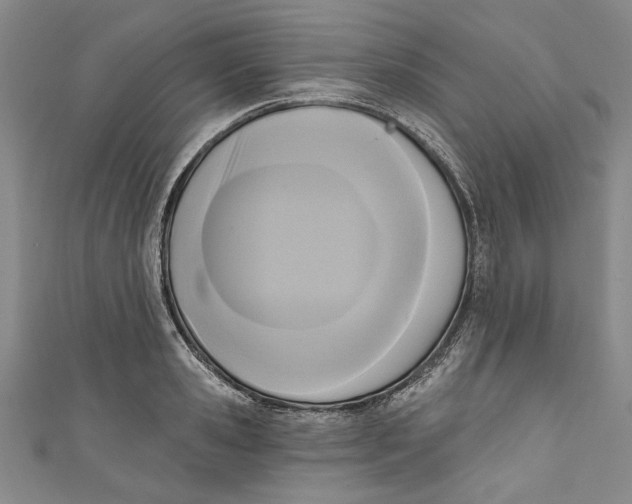 X0000111170941200907221025