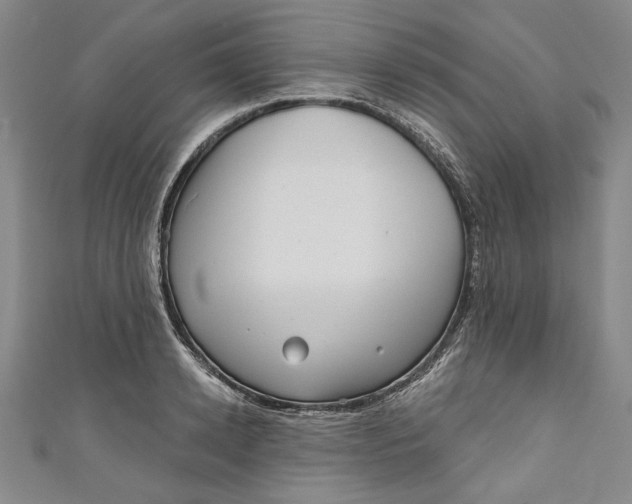 X0000111170942200907221025