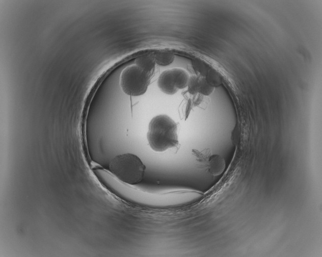 X0000111170943200907221025