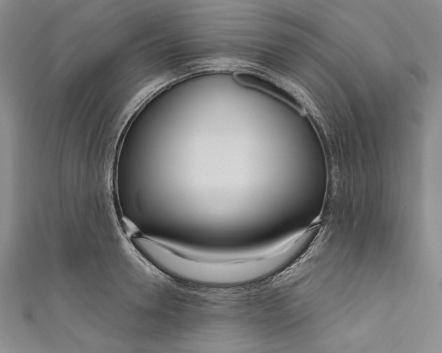 X0000111170946200907221025