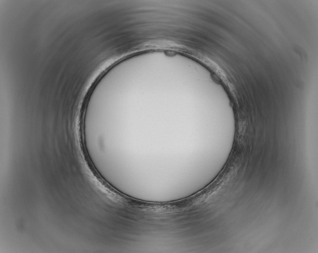 X0000111170947200907221025