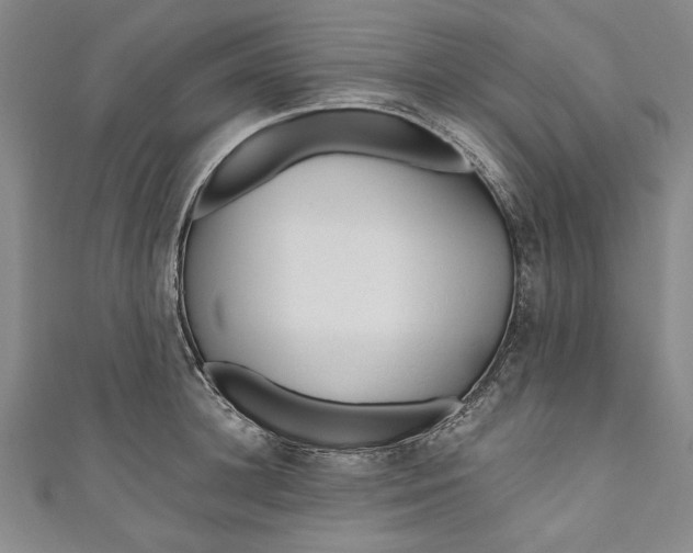 X0000111170948200907221025