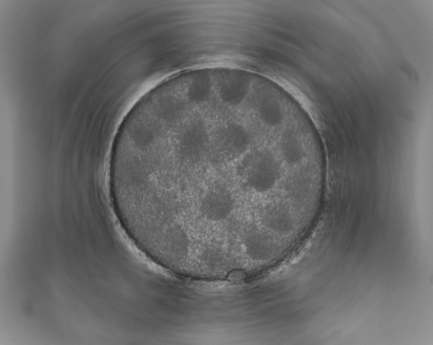 X0000111170949200907221025