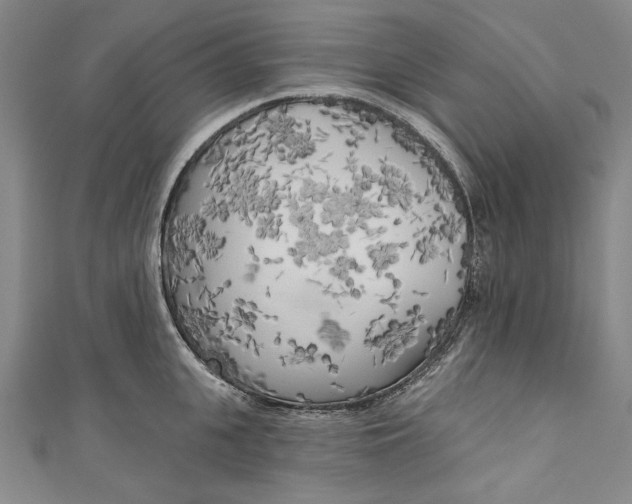 X0000111170951200907221025