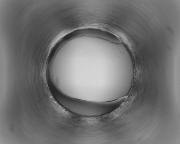 X0000111170952200907221025