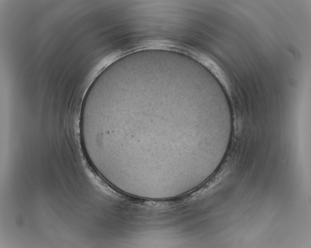 X0000111170954200907221025